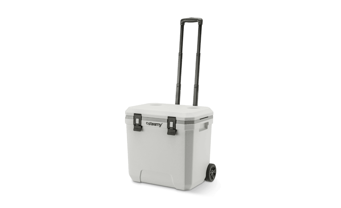 Steamy Marine 21 - Middelgrote Koelbox Inclusief Verdeelwand En Inlegbakje 21 Liter Wit